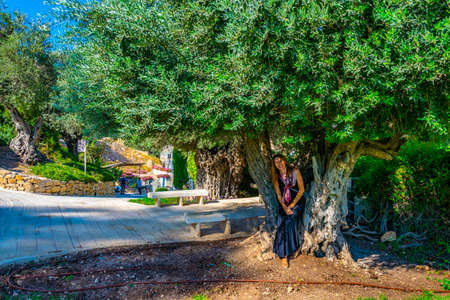 Ruins of the city of David in Jerusalem, Israelの写真素材