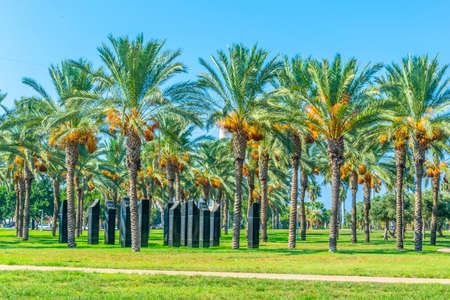 promenade alongside river Yarkon in Tel Aviv, Israelの写真素材
