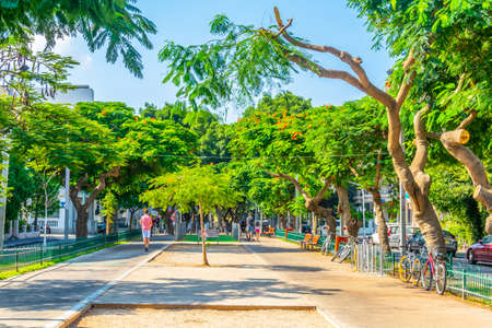 TEL AVIV, ISRAEL, SEPTEMBER 10, 2018: View of the rotschild boulevard in Tel Aviv, Israelのeditorial素材