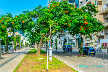 TEL AVIV, ISRAEL, SEPTEMBER 9, 2018: View of the rotschild boulevard in Tel Aviv, Israelのeditorial素材