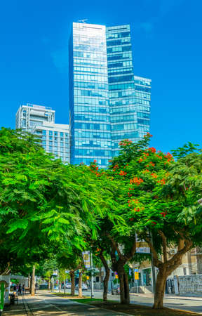 TEL AVIV, ISRAEL, SEPTEMBER 9, 2018: View of the rotschild boulevard in Tel Aviv, Israelのeditorial素材