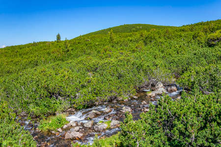 mountain creek at rila mountains in Bulgaria