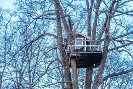 Hut on top of a treeの写真素材
