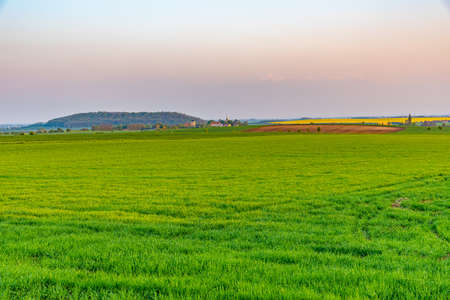 Sunset over green field in the czech republicの写真素材