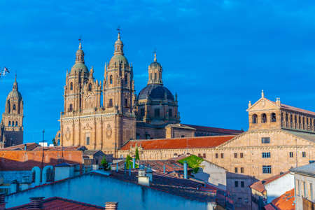 Cathedral of Salamanca, Spainの写真素材