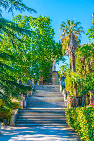 Green foliage at the botanical garden of university of Coimbra in Portugal