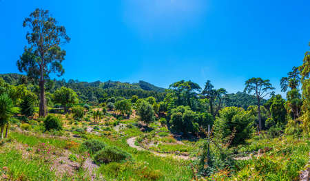 Gardens at the grounds of Palace of Monserrate at Sintra, Portugal