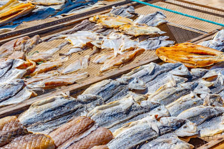 Seafood drying on sun in Nazare, portugalの写真素材