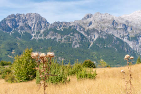Beautiful landscape of Accursed Mountains viewed from Valbona-Theth hiking trail in Albaniaの写真素材