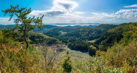 Tea terraces at Boseong tea plantations in Republic of Koreaの写真素材