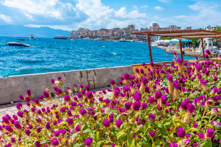 Seaside promenade at Sarande viewed behind flowers, Albaniaのeditorial素材