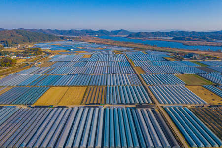 Aerial view of greenhouses in Buyeo, Republic of Korea