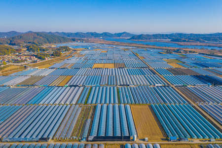 Aerial view of greenhouses in Buyeo, Republic of Korea