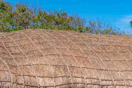 Thatched roof of traditional houses at Jeju folk village, Republic of Koreaの写真素材