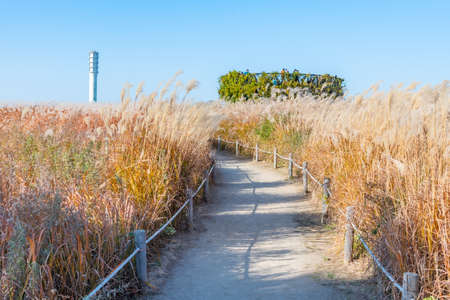 viewpoint platform at Haneul park in Seoul, Republic of Koreaの写真素材