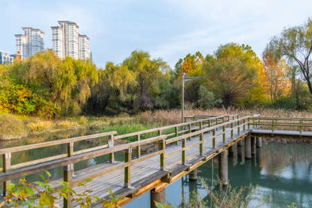 Park alongside Yeouido island in Seoul, Republic of Koreaの写真素材