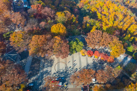 Aerial view of colorful trees during autumn in at Namsan hill, Republic of Korea