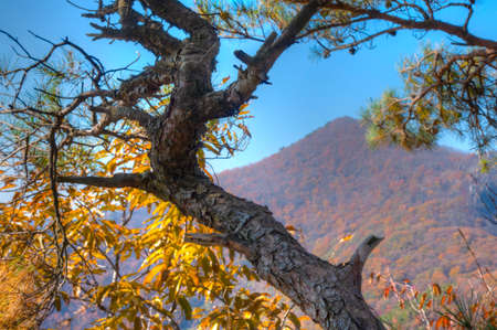 Peaks of Naejangsan national park in Republic of Koreaの写真素材
