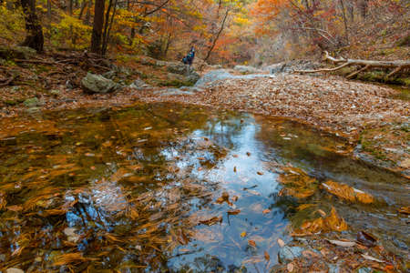 Creek at Juwangsan national park in republic of Koreaの写真素材