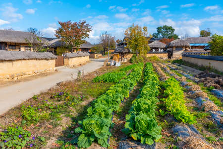 Typical farm houses at Hahoe folk village in Republic fo Koreaの写真素材