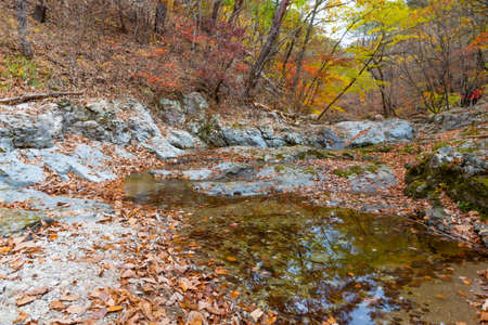 Creek at Juwangsan national park in republic of Koreaの写真素材
