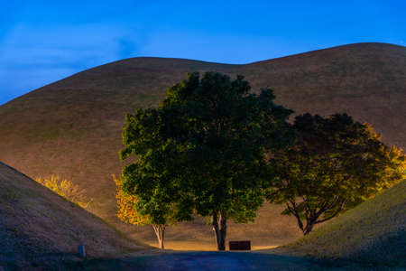 Sunset view of Tumuli park containing several royal tombs, Gyeongju, Republic of Koreaの写真素材