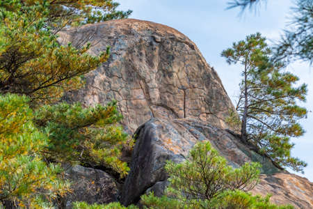 Buddha carving at Namsan national park in Republic of Koreaの写真素材