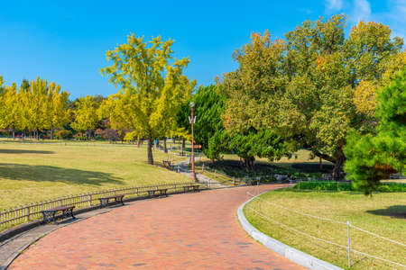Dalseong park at Daegu, Republic of Koreaの写真素材
