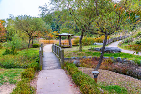 Park at Wolmido island in Incheon, republic of Koreaの写真素材