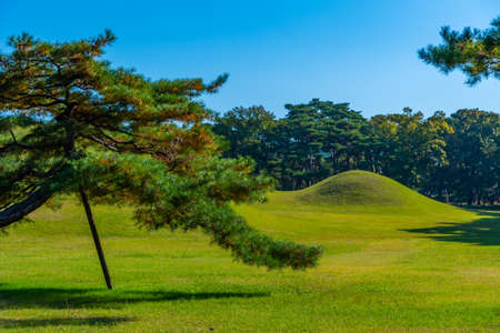 Silla Oreung royal tombs at Gyeongju, Republic of Koreaのeditorial素材