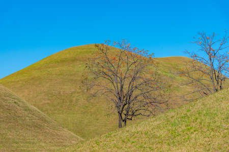 Tumuli park containing several royal tombs at Gyeongju, Republic of Korea