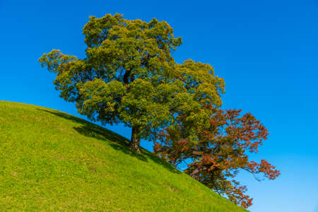 Seobongchong burial tombs in center of Gyeongju, Republic of Korea