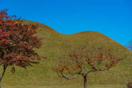 Tumuli park containing several royal tombs at Gyeongju, Republic of Koreaのeditorial素材