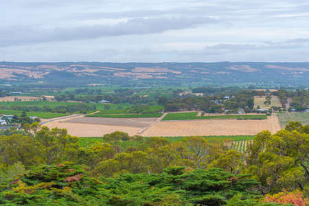 Aerial view of vineyards at McLaren Vale in Australia