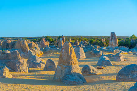 Sunset over the Pinnacles desert in Australia
