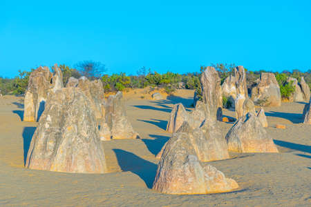 Sunset over the Pinnacles desert in Australiaの写真素材
