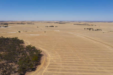 Rural landscape of Western Australia