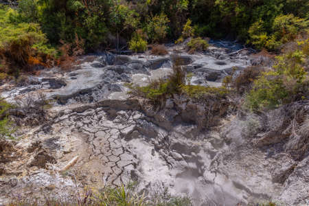 Mud pools at Orakei Korako at New Zealand