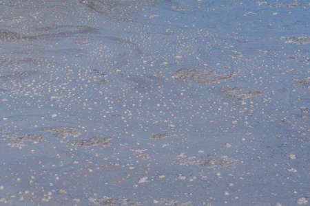 Detail of a mud pool at Hell's gate geothermal reserve at New Zealandの写真素材