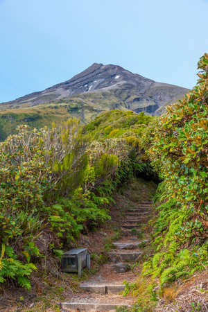 Mt. Taranaki viewed during a sunny day at New Zealandの写真素材