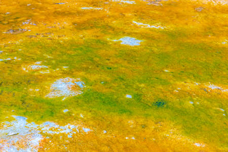 Detail of Silica terraces at Orakei Korako at New Zealand
