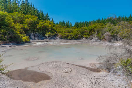Mud pools at Wai-O-Tapu at New Zealandの写真素材