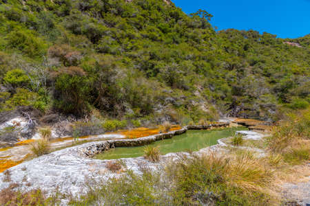 Warbrick terraces at Waimangu volcanic valley in New Zealandの写真素材