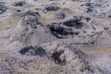 Mud pools at Te Puia at New Zealand