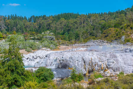 Pohutu geyser at Te puia village near Rotorua, New Zealandの写真素材