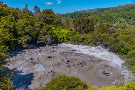 Mud pools at Te Puia at New Zealand