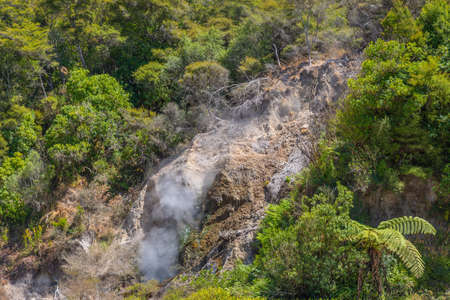 Fumaroles at Waimangu volcanic valley in New Zealand