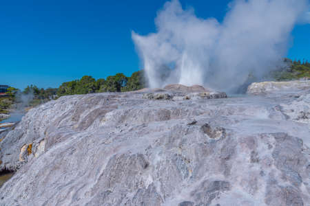 Pohutu geyser at Te puia village near Rotorua, New Zealandの写真素材