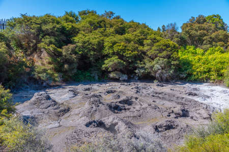 Mud pools at Te Puia at New Zealand