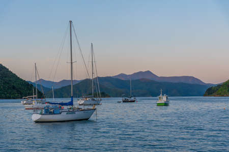Boats mooring at Queen Charlotte sound in Picton, New Zealand